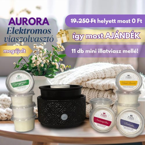 Elektromos viaszolvasztó